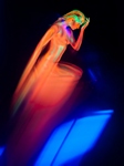 ritorna-vincitor| RF Photoarts